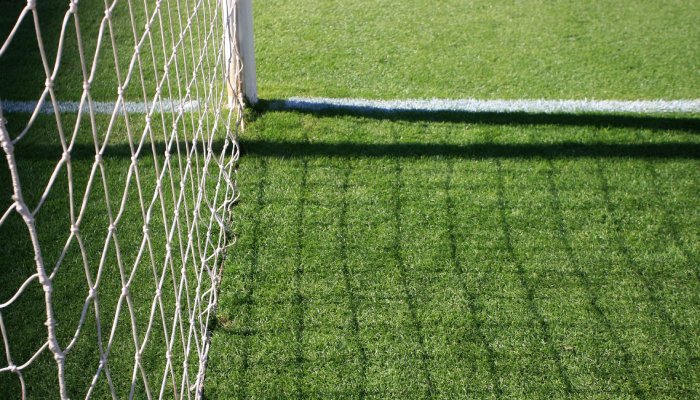 Línea de gol en una portería