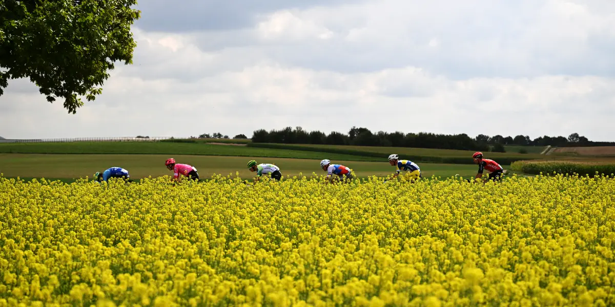 Riemst to Bilzen-Hoeselt análisis para el pronóstico Tour de Flandes 2026